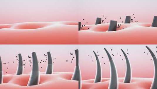 3D动画显示使用液体清洁皮肤和毛发层。高清在线视频素材下载