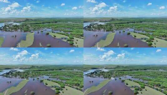 额尔古纳湿地夏季唯美航拍高清在线视频素材下载