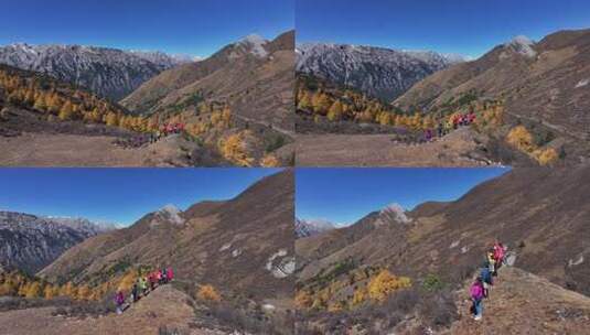 航拍川西格聂南线雪山秋景高清在线视频素材下载