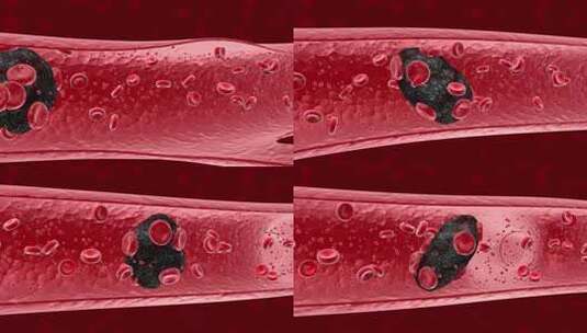血液细胞 医学动画 细胞高清在线视频素材下载