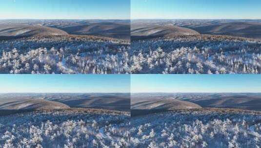 雪后山林的壮丽景象高清在线视频素材下载