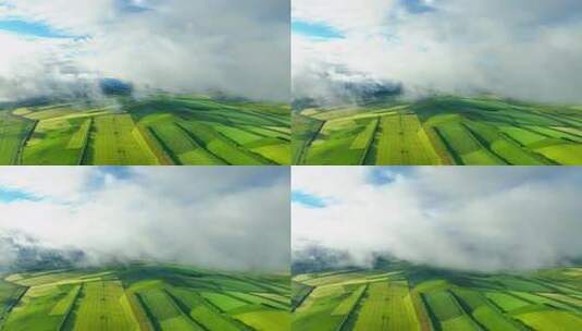 广袤田野被云雾环绕的壮丽景象高清在线视频素材下载