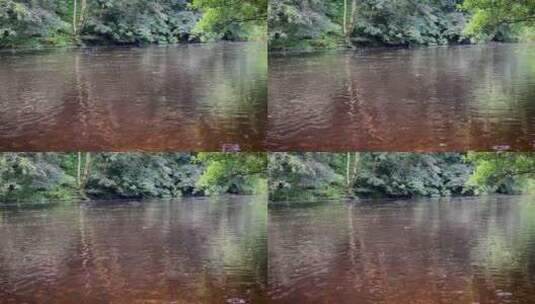 高清实拍河里的水高清在线视频素材下载