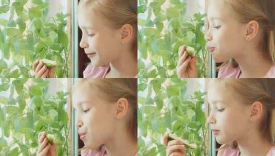 女孩在窗旁吃黄瓜高清在线视频素材下载