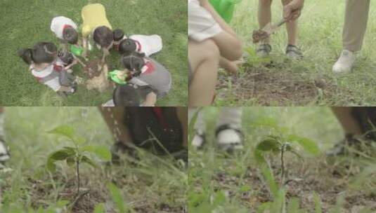 植树节老师带学生种树小树茁壮成长祖国未来高清在线视频素材下载