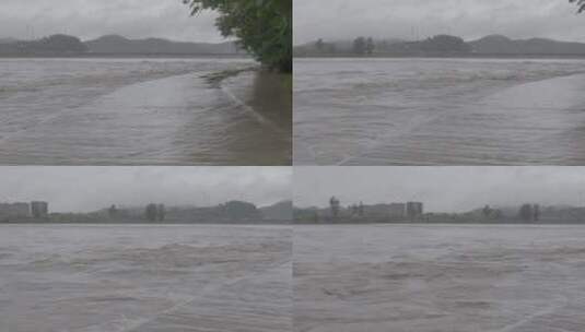 暴雨洪水LOG视频素材高清在线视频素材下载