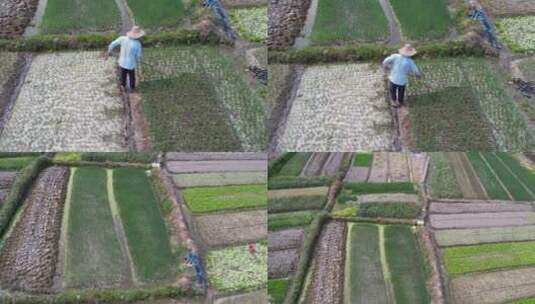 俯瞰农田耕种的农民一飞冲天高清在线视频素材下载