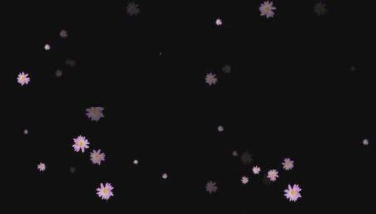 紫色菊花动态装饰元素视频高清在线视频素材下载