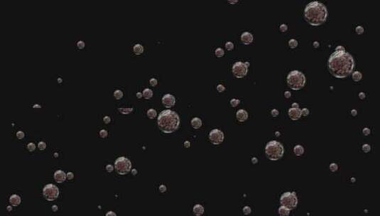 中医养生茱萸气泡粒子视频素材带通道高清在线视频素材下载