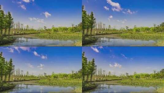 南滇池国家湿地公园延时高清在线视频素材下载