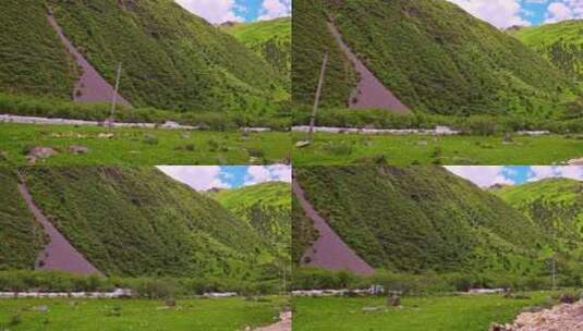 西藏昌都边坝牧场高清在线视频素材下载