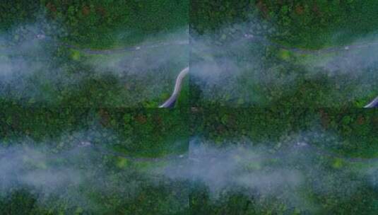 山谷中流动的云雾高清在线视频素材下载