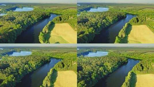航拍河流和森林景观高清在线视频素材下载