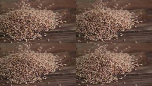 落下的麦粒高清在线视频素材下载