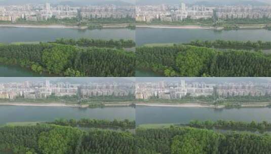湖北襄阳汉江江中岛屿植物航拍高清在线视频素材下载