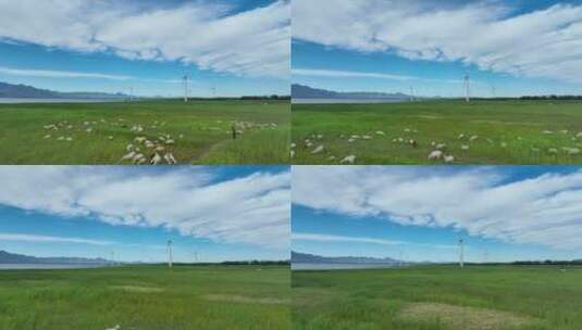 4K航拍草原羊群风力发电机高清在线视频素材下载