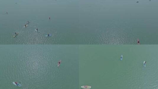 水上桨板救援队在清江(7)高清在线视频素材下载
