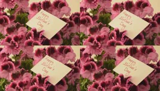 美丽的鲜花和母亲节贺卡高清在线视频素材下载