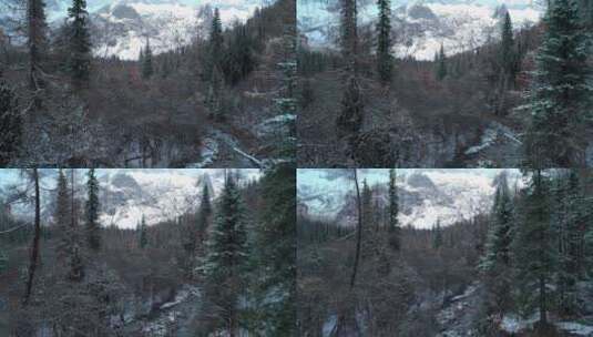 冬季航拍四姑娘山双桥沟雪景森林溪谷高清在线视频素材下载