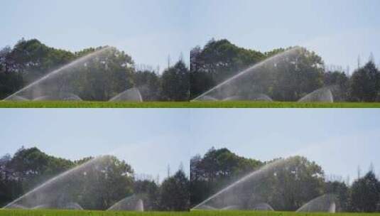 城市草坪洒水喷水逆光升格视频高清在线视频素材下载