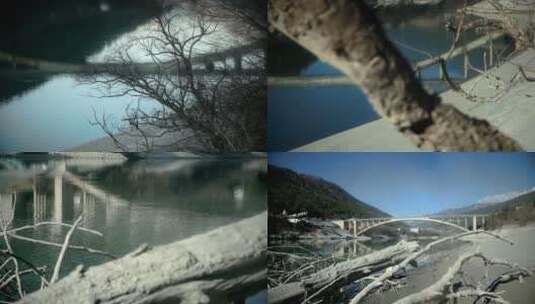 拱桥树影枯木4K高清在线视频素材下载