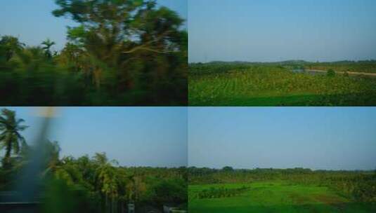 海南高铁动车火车窗外风景沿途风光 椰树高清在线视频素材下载