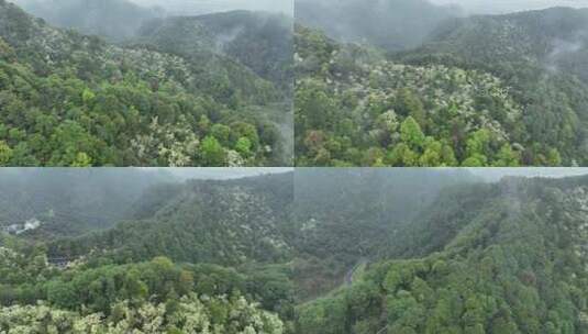 烟雨云雾缥缈的大山高清在线视频素材下载