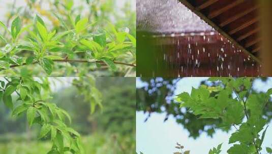 下雨雨滴屋檐高清在线视频素材下载