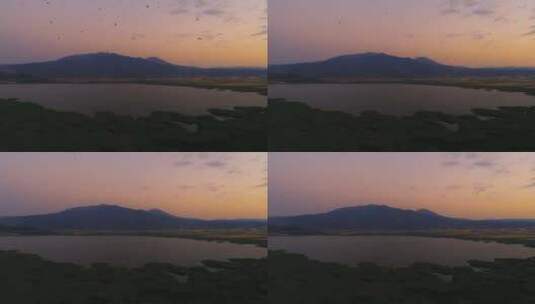 日落天空中的飞鸟高清在线视频素材下载