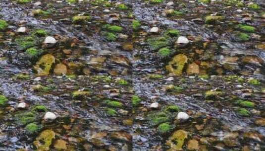 绿色小溪流水高清在线视频素材下载
