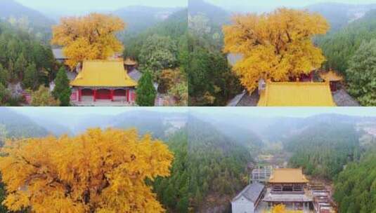 山东济南淌豆寺秋天航拍寺庙高清在线视频素材下载