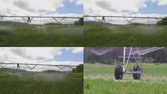 小麦灌溉 现代化农田 农业高清在线视频素材下载