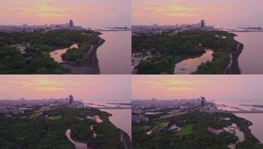 上海吴淞炮台湾国家湿地公园高清在线视频素材下载