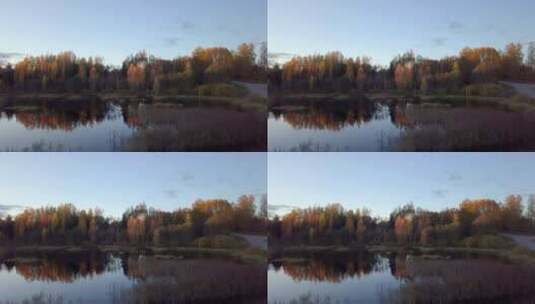 池塘上空的低空拍摄，树木在水中反射——向前飞行高清在线视频素材下载