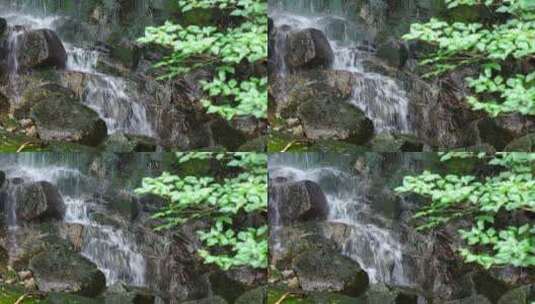 森林流水大自然小溪水瀑布山涧水源泉水山水高清在线视频素材下载