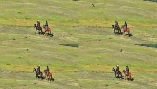 阿勒泰山脉 骑马 穿越 航拍8高清在线视频素材下载