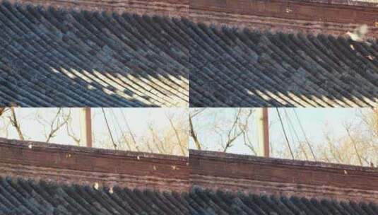 古建筑屋顶瓦片排列有序的景象高清在线视频素材下载