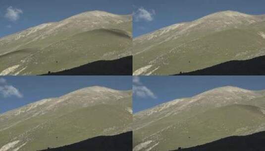 西藏山南山间羊群延时高清在线视频素材下载