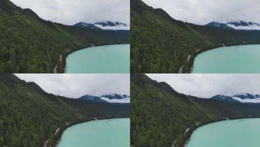 森林秘境湖泊碧水高清在线视频素材下载