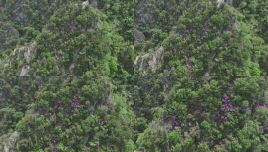 河南伏牛山山脉平顶山尧山层峦叠嶂的山峰高清在线视频素材下载