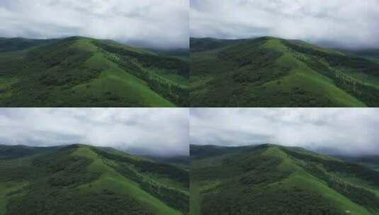 【航拍】草原风景 坝上草原 草原天路高清在线视频素材下载