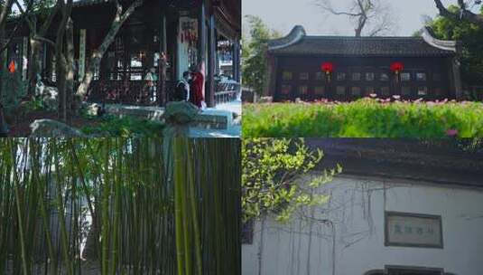 扬州个园景色竹林古风古色建筑旅游盐商老宅高清在线视频素材下载