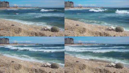 背景是海浪的海滩高清在线视频素材下载