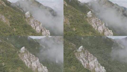 森林湖泊云海山川山脉云雾缭绕 青山绿水高清在线视频素材下载