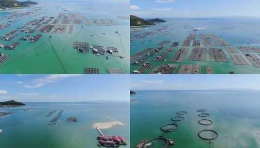 福建漳州东山岛鱼排航拍高清在线视频素材下载