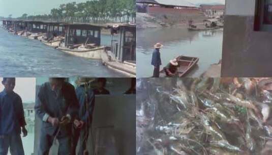 八十年代苏州渔民捕虾高清在线视频素材下载