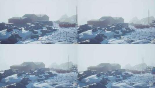 南极夏季科学站高清在线视频素材下载