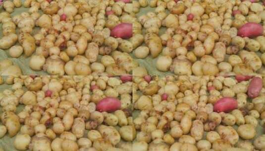 4K洗土豆马铃薯视频高清在线视频素材下载