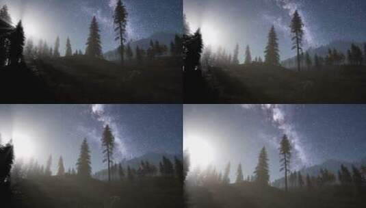 森林上方的银河星空高清在线视频素材下载