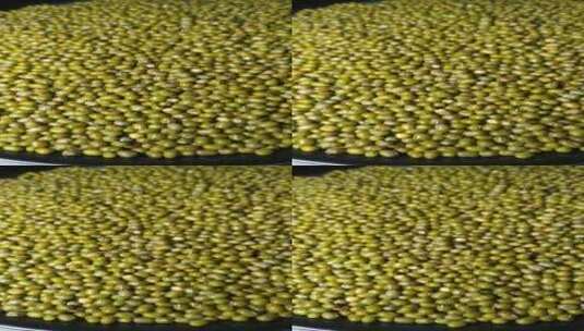 4K食品绿豆豆子食品旋转展示竖屏高清在线视频素材下载